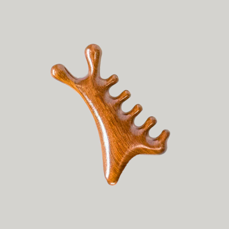 CombEase | 4-in-1 massagekam – ontklitter, hoofdhuidmassageapparaat en borstel tegen kroeshaar