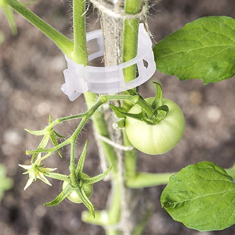 BotaniClips | Plantenklemmen voor stengels, wijnstokken en bloemen - Herbruikbare tuinklemmen