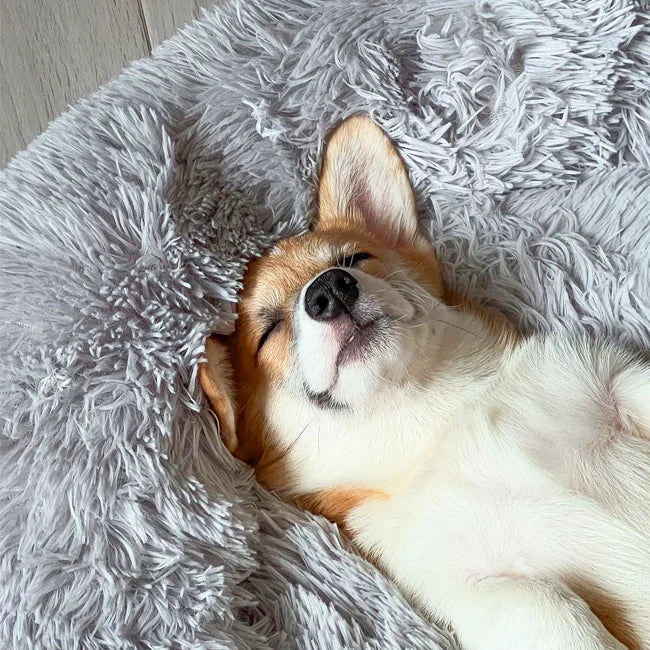 DonutDen | Gezellig orthopedisch donutvormig hondenbed, zacht traagschuim, angstremmend, zacht imitatiebont, antislip, wasbaar