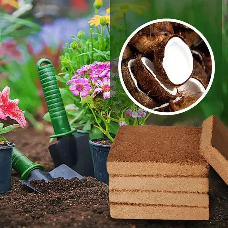 CocoBloom | Premium organische kokosnoot aarde stenen - vochtvasthoudend plant groeimedium