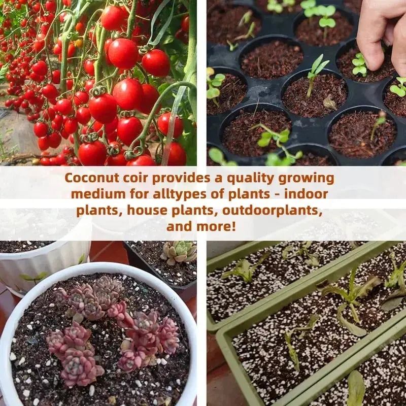 CocoBloom | Premium organische kokosnoot aarde stenen - vochtvasthoudend plant groeimedium