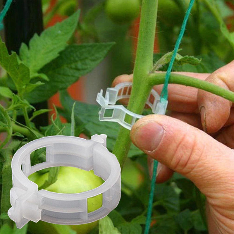 BotaniClips | Plantenklemmen voor stengels, wijnstokken en bloemen - Herbruikbare tuinklemmen