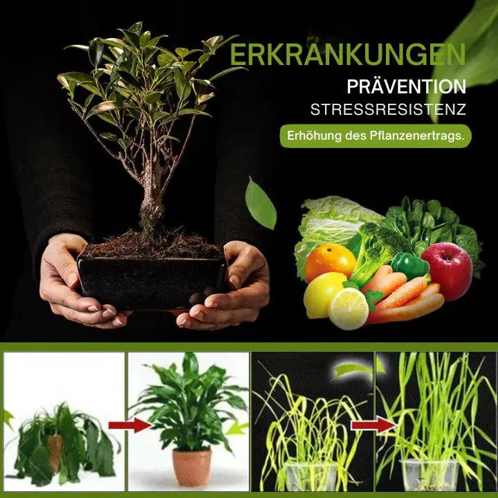 RapidRoot | 3-Daagse Tuin Bodem Activator - Snelle Bodemverrijking & Wortelgroei Booster
