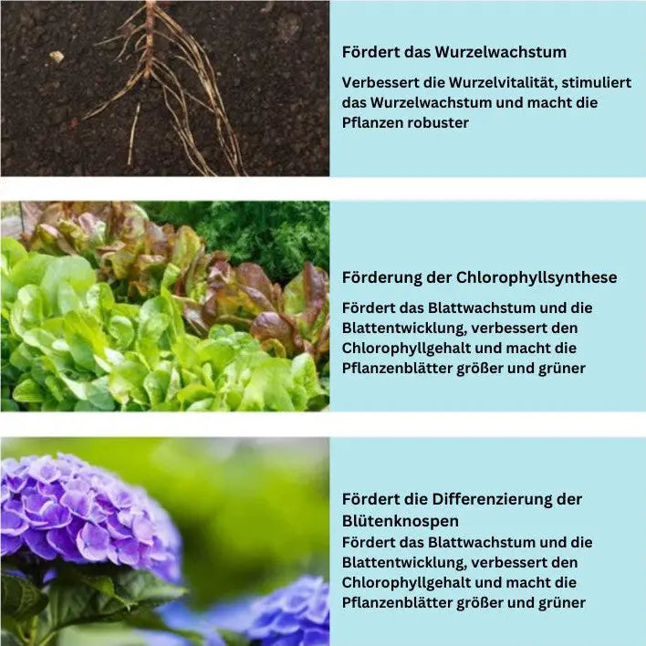 RootFuel | Organische Meststof Tabletten voor Gezonde Plantengroei & Sterke Wortels