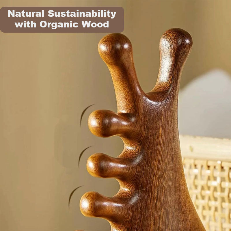 CombEase | 4-in-1 massagekam – ontklitter, hoofdhuidmassageapparaat en borstel tegen kroeshaar