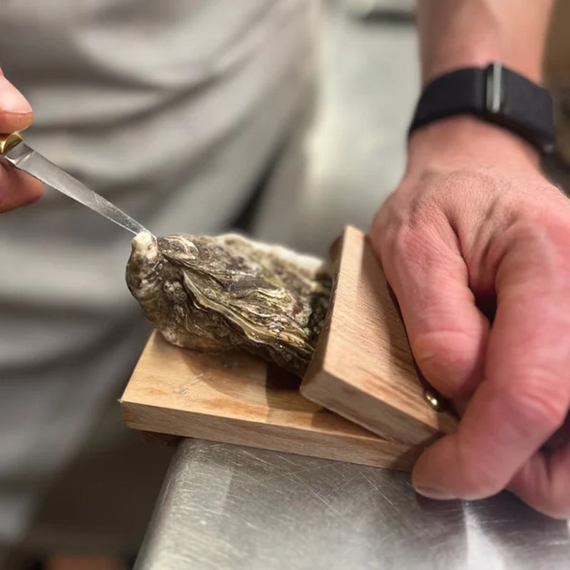 ClamGuard |  Houten handgreep voor oestersnippers - Veilige oesteropener