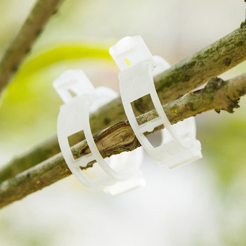 BotaniClips | Plantenklemmen voor stengels, wijnstokken en bloemen - Herbruikbare tuinklemmen