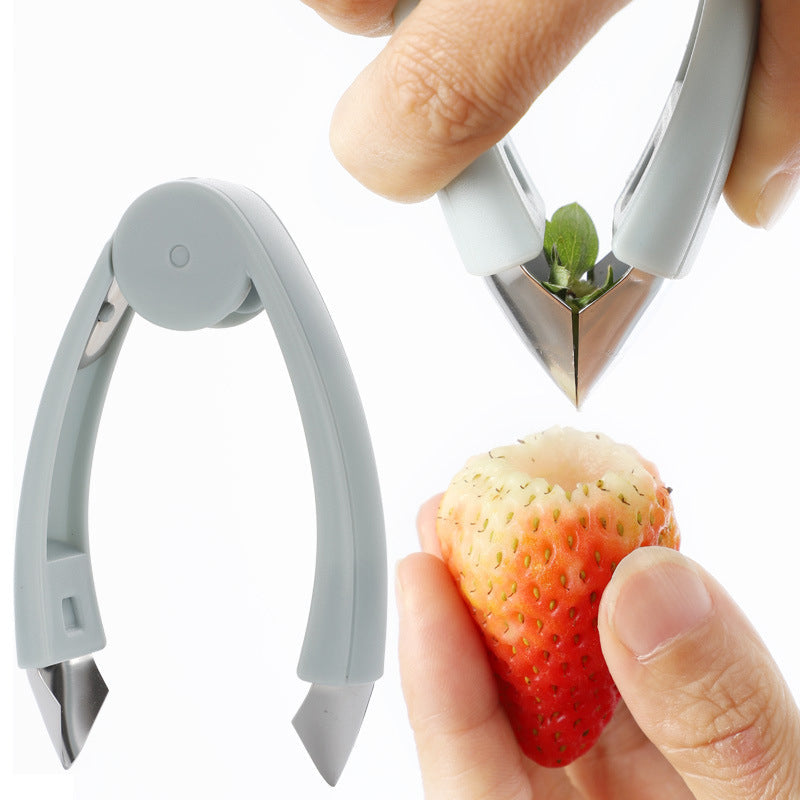 CoreTweeze | Multifunctionele fruitpincet zaadverwijderaar - roestvrij staal pitter gereedschap