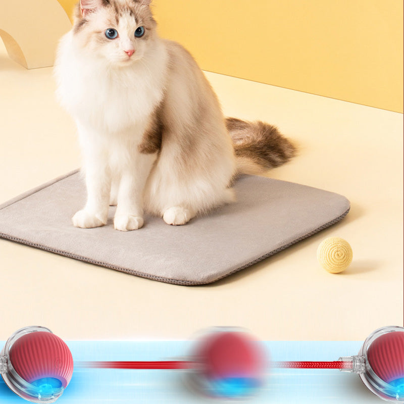 FurRoll | Slim interactief kattenspeeltje – Automatisch rollend speeltje voor binnenkatten
