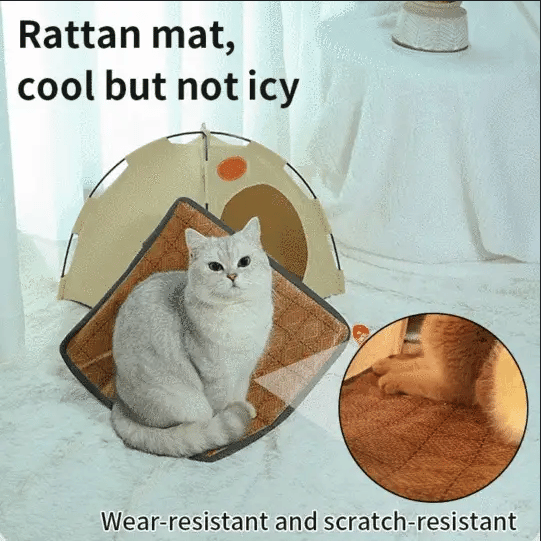 PawLodge | Huisdierententnest – Duurzaam katten- en hondenbed, krasbestendig, draagbaar, lichtgewicht