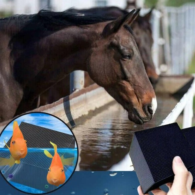 BioFlow | Waterzuiveraar Bio Cube - Aquarium, Vee & Paard drinkbakfiltratie