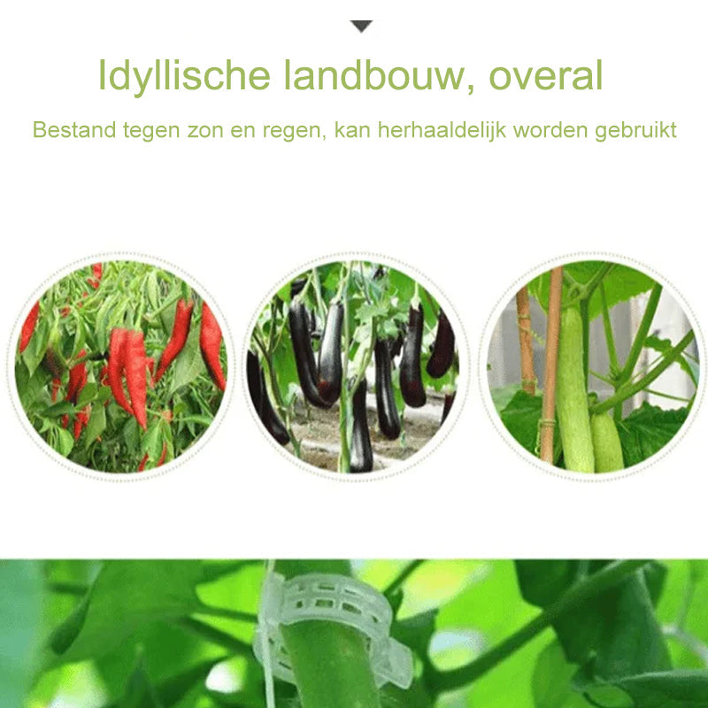 BotaniClips | Plantenklemmen voor stengels, wijnstokken en bloemen - Herbruikbare tuinklemmen