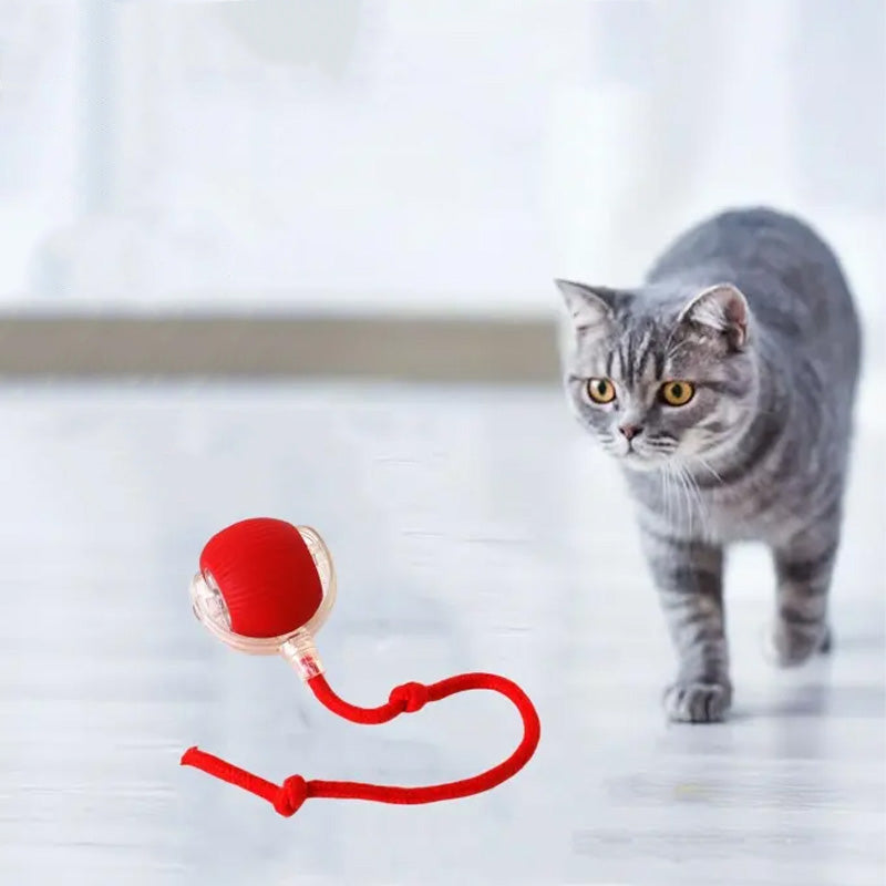 FurRoll | Slim interactief kattenspeeltje – Automatisch rollend speeltje voor binnenkatten