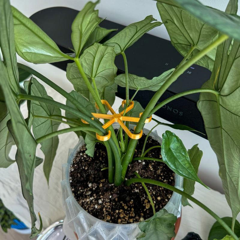 ClipTact | 4-pack plantenstokjes – ondersteuning voor bloemen en groenten