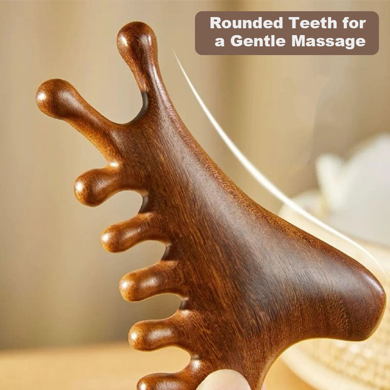 CombEase | 4-in-1 massagekam – ontklitter, hoofdhuidmassageapparaat en borstel tegen kroeshaar