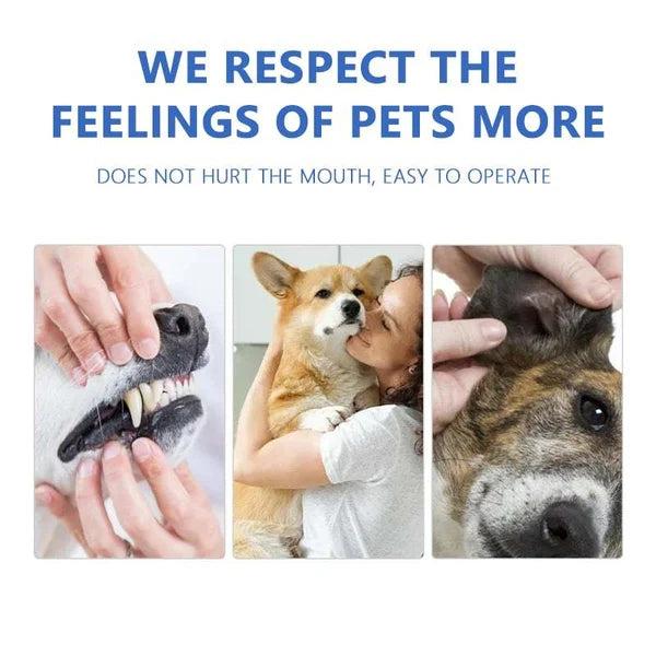 PetBreathy | Fresh Breath kauwsnacks voor honden en katten – Natuurlijke tandverzorging voor huisdieren