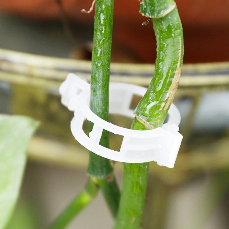 BotaniClips | Plantenklemmen voor stengels, wijnstokken en bloemen - Herbruikbare tuinklemmen