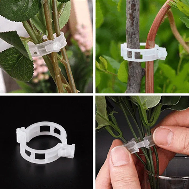 BotaniClips | Plantenklemmen voor stengels, wijnstokken en bloemen - Herbruikbare tuinklemmen