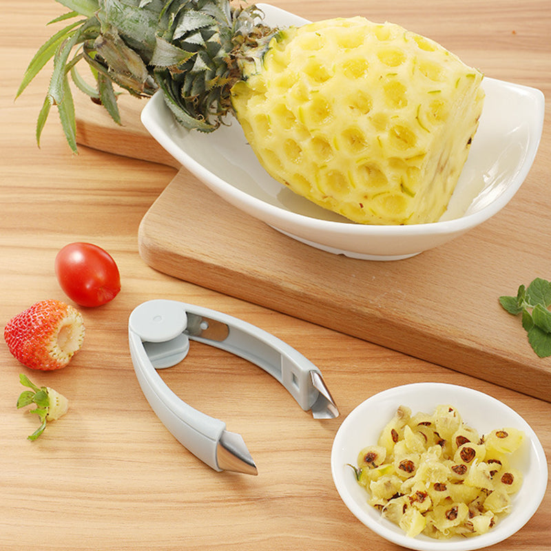 CoreTweeze | Multifunctionele fruitpincet zaadverwijderaar - roestvrij staal pitter gereedschap