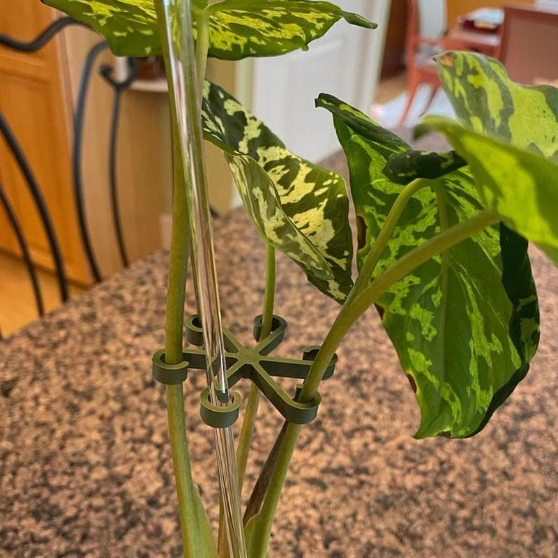 ClipTact | 4-pack plantenstokjes – ondersteuning voor bloemen en groenten