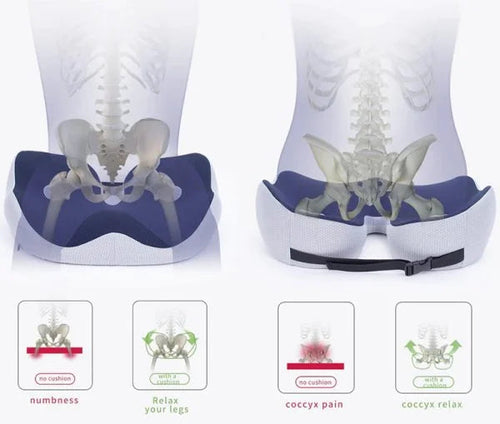 AlignSeat | Verstelbaar Memory Foam Kussen voor Zitbeenverlichting - Ergonomisch Comfort