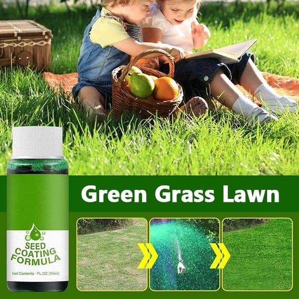 LawnBoost | Groen Gras Gazon Spray voor Dikke & Weelderige Gazons - Huishoudelijk Zaaisysteem