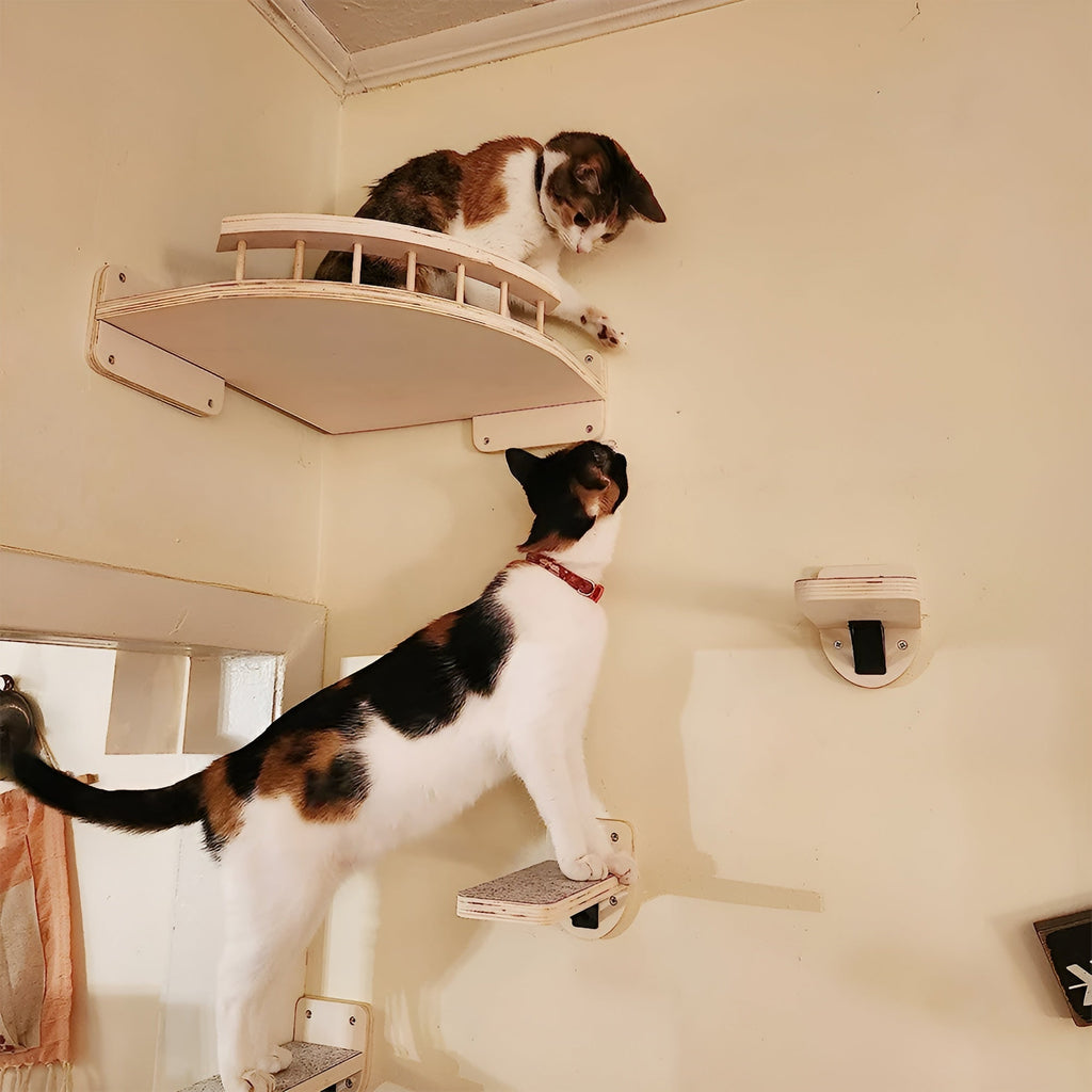 FeliClimb | Wandgemonteerde kattenklimrek & krabpaal – Interactieve speelwand voor katten voor thuis