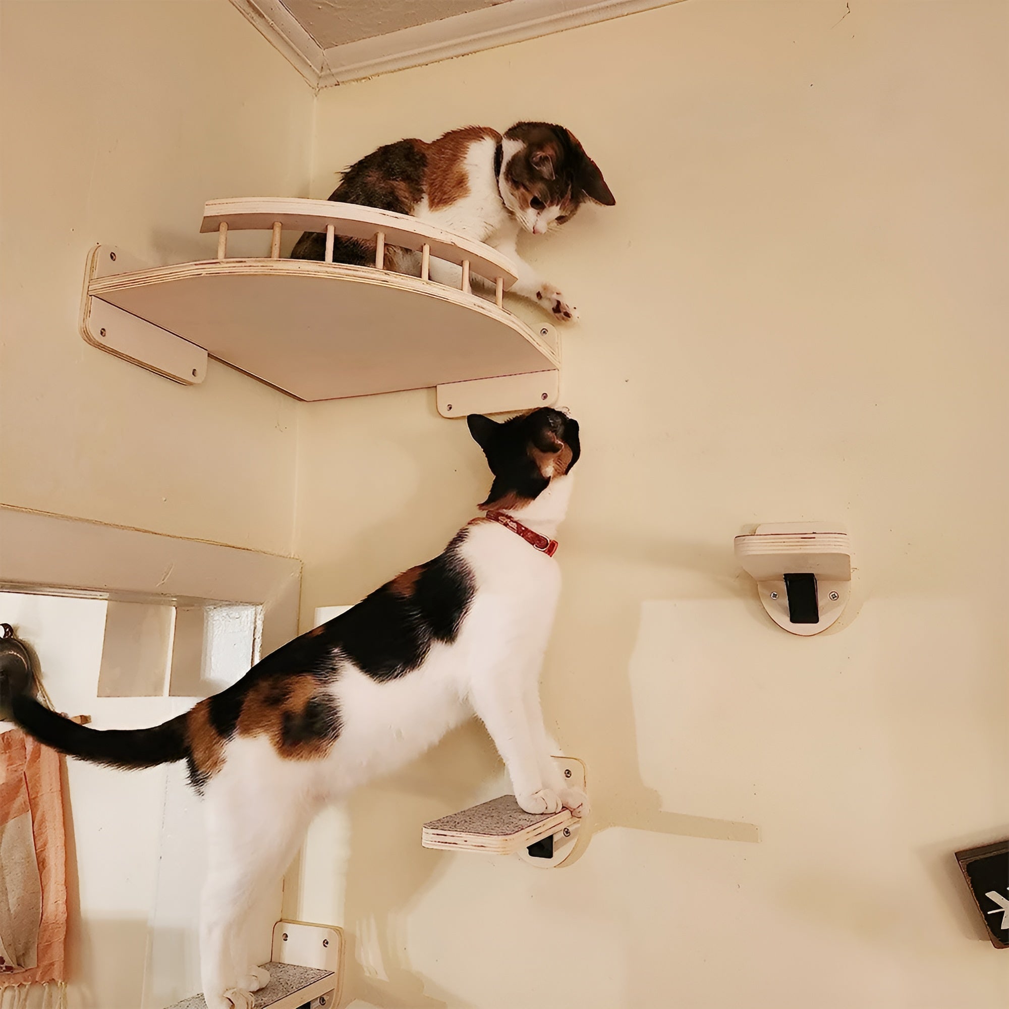 FeliClimb | Wandgemonteerde kattenklimrek & krabpaal – Interactieve speelwand voor katten voor thuis