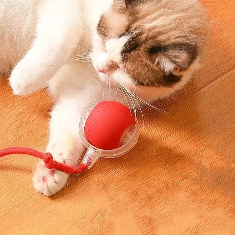 FurRoll | Slim interactief kattenspeeltje – Automatisch rollend speeltje voor binnenkatten