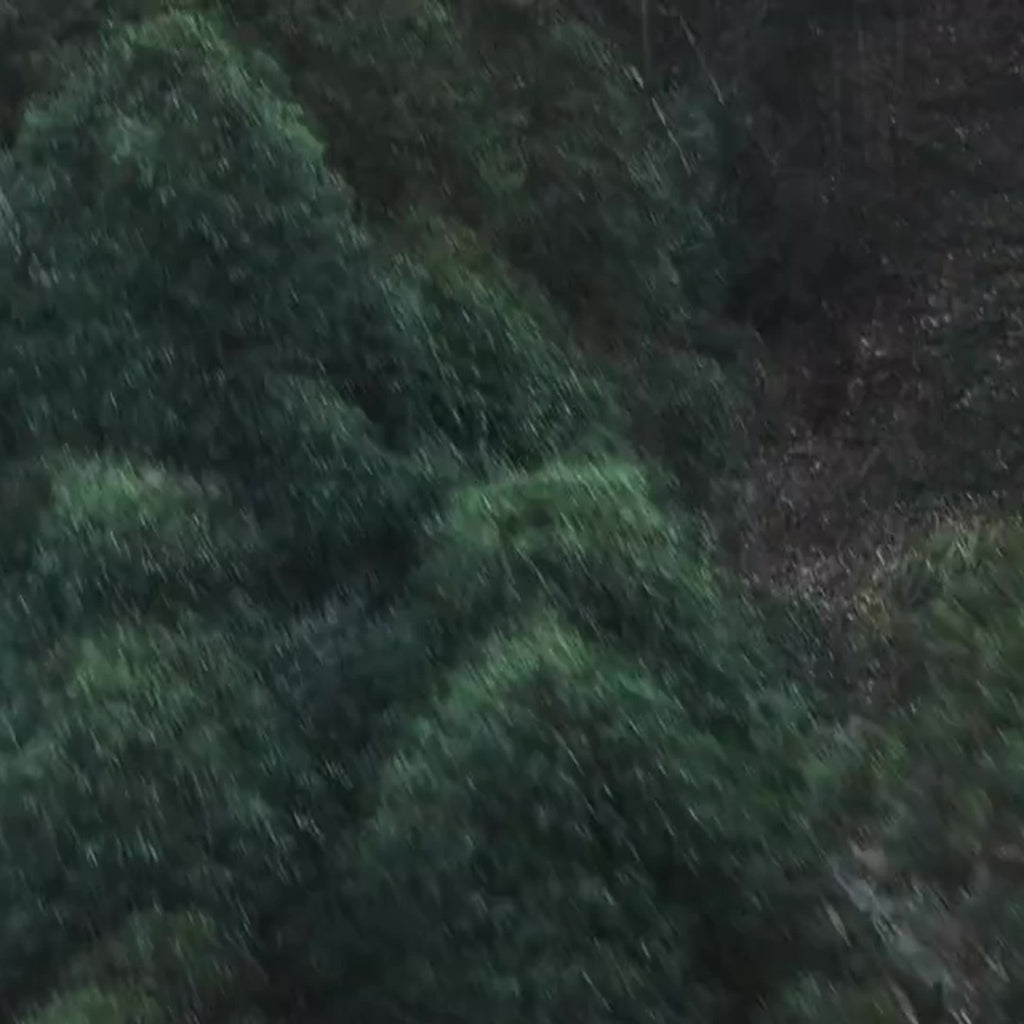 AirBoost | Compacte oplaadbare luchtcompressor – 150 PSI slimme inflator met LCD-scherm en LED-lampje voor auto's, fietsen en ballen