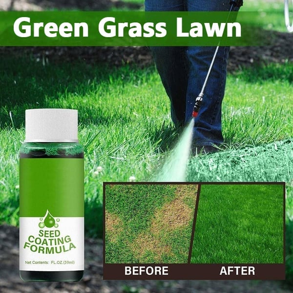 LawnBoost | Groen Gras Gazon Spray voor Dikke & Weelderige Gazons - Huishoudelijk Zaaisysteem
