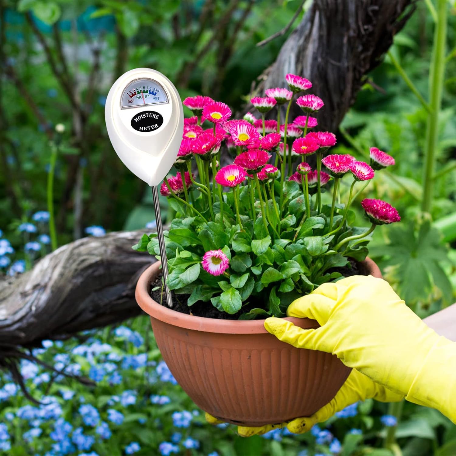 SoilScan | Digitale Bodemvochtmeter – Nauwkeurige Waterniveau Tester voor Planten, Tuin
