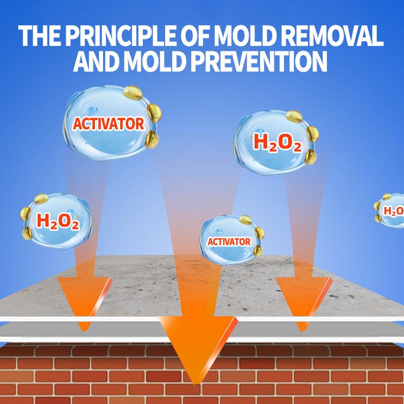 MouldEx | Effectieve schimmelverwijderingsspray – niet giftig, snelwerkend, op plantaardige basis
