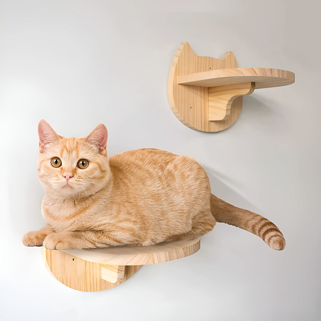 FeliClimb | Wandgemonteerde kattenklimrek & krabpaal – Interactieve speelwand voor katten voor thuis