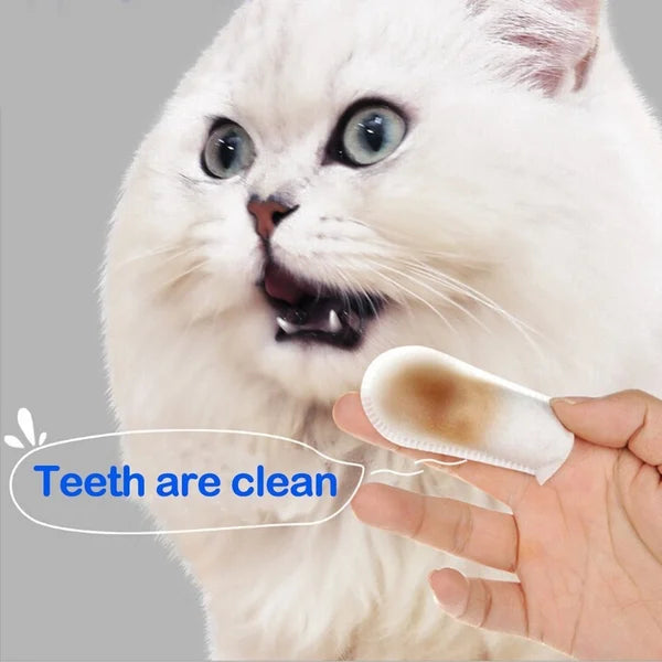 PetBreathy | Fresh Breath kauwsnacks voor honden en katten – Natuurlijke tandverzorging voor huisdieren