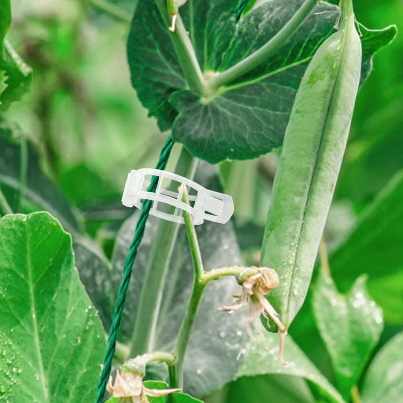 BotaniClips | Plantenklemmen voor stengels, wijnstokken en bloemen - Herbruikbare tuinklemmen