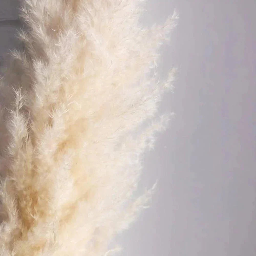 BohoFluff | Natuurlijk gedroogd pampagras boeket - Pluizig riet voor moderne Boho vaas & Woondecoratie