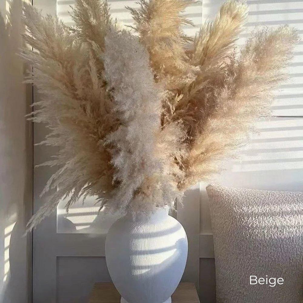BohoFluff | Natuurlijk gedroogd pampagras boeket - Pluizig riet voor moderne Boho vaas & Woondecoratie