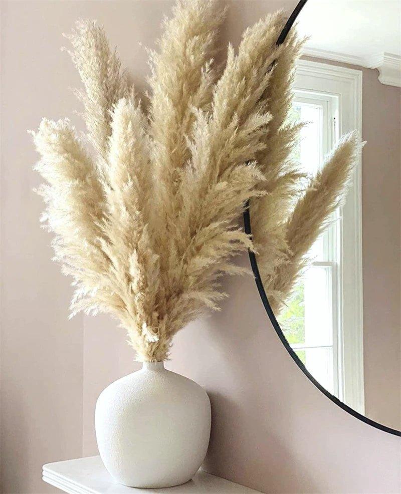BohoFluff | Natuurlijk gedroogd pampagras boeket - Pluizig riet voor moderne Boho vaas & Woondecoratie