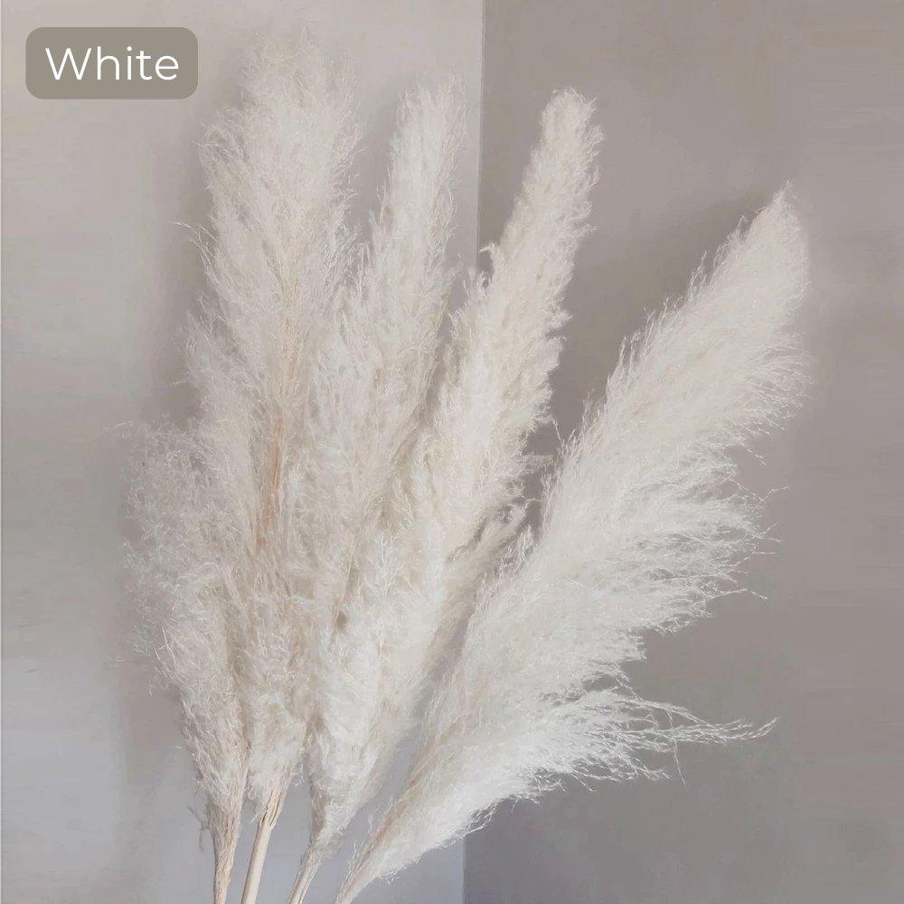 BohoFluff | Natuurlijk gedroogd pampagras boeket - Pluizig riet voor moderne Boho vaas & Woondecoratie