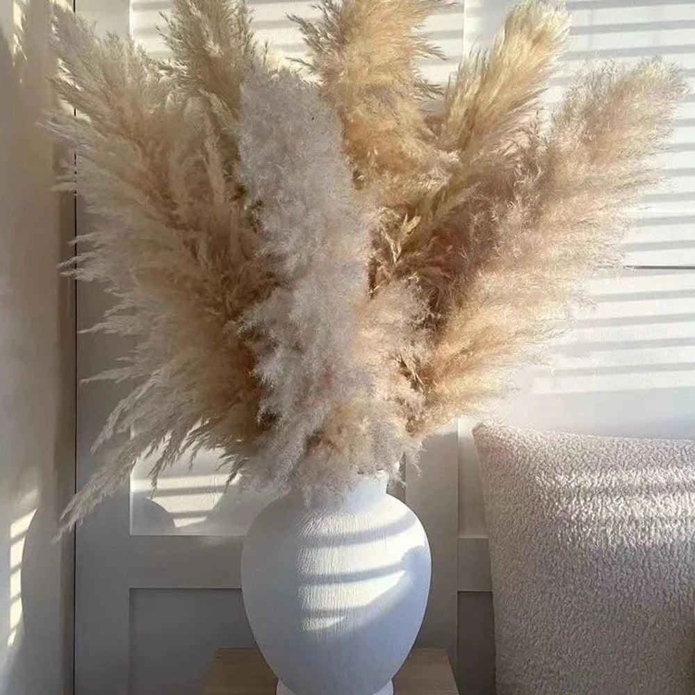BohoFluff | Natuurlijk gedroogd pampagras boeket - Pluizig riet voor moderne Boho vaas & Woondecoratie
