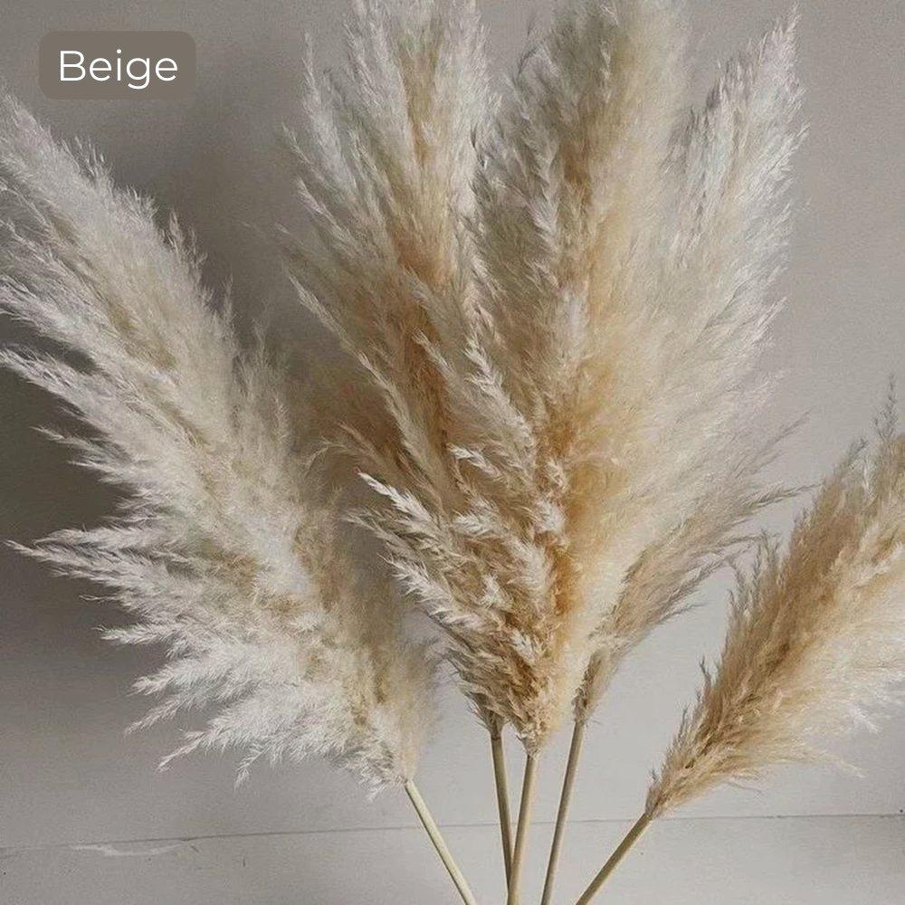 BohoFluff | Natuurlijk gedroogd pampagras boeket - Pluizig riet voor moderne Boho vaas & Woondecoratie