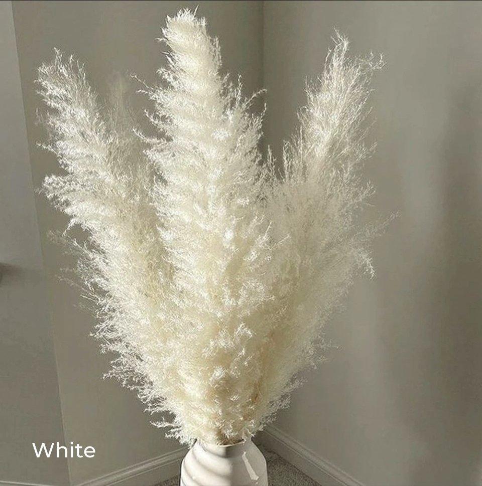 BohoFluff | Natuurlijk gedroogd pampagras boeket - Pluizig riet voor moderne Boho vaas & Woondecoratie