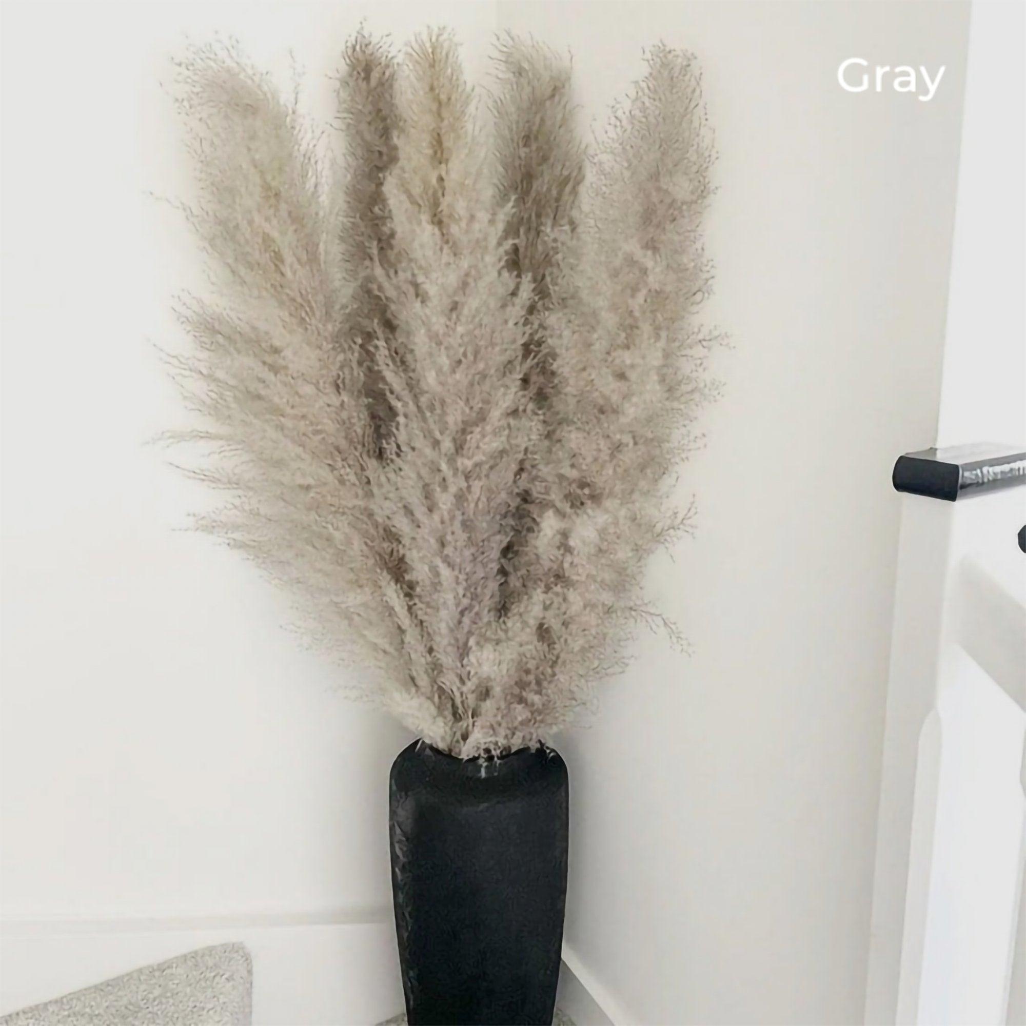 BohoFluff | Natuurlijk gedroogd pampagras boeket - Pluizig riet voor moderne Boho vaas & Woondecoratie
