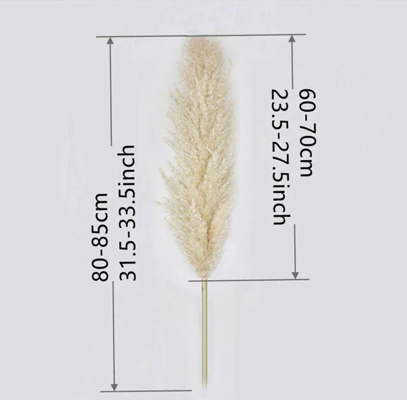 BohoFluff | Natuurlijk gedroogd pampagras boeket - Pluizig riet voor moderne Boho vaas & Woondecoratie