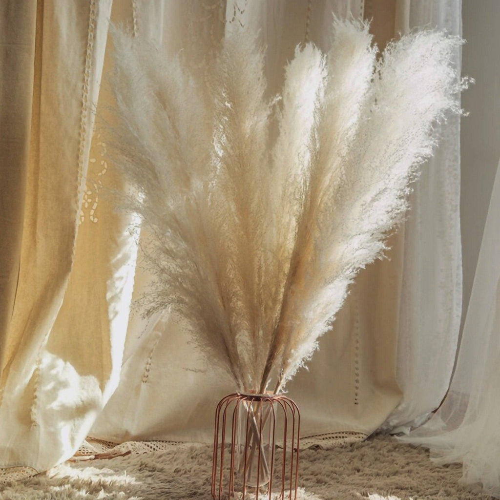 BohoFluff | Natuurlijk gedroogd pampagras boeket - Pluizig riet voor moderne Boho vaas & Woondecoratie