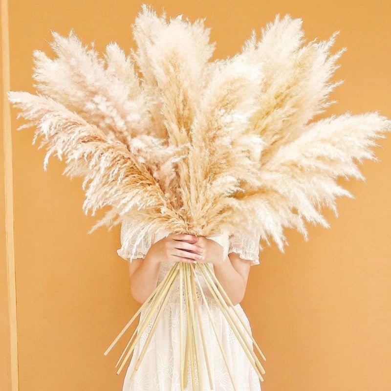 BohoFluff | Natuurlijk gedroogd pampagras boeket - Pluizig riet voor moderne Boho vaas & Woondecoratie