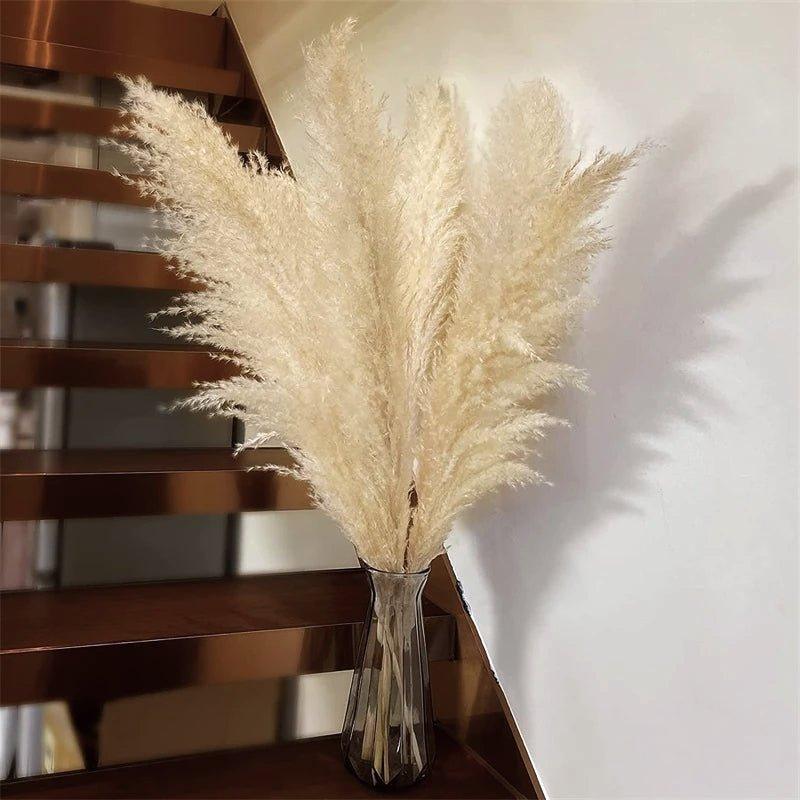 BohoFluff | Natuurlijk gedroogd pampagras boeket - Pluizig riet voor moderne Boho vaas & Woondecoratie