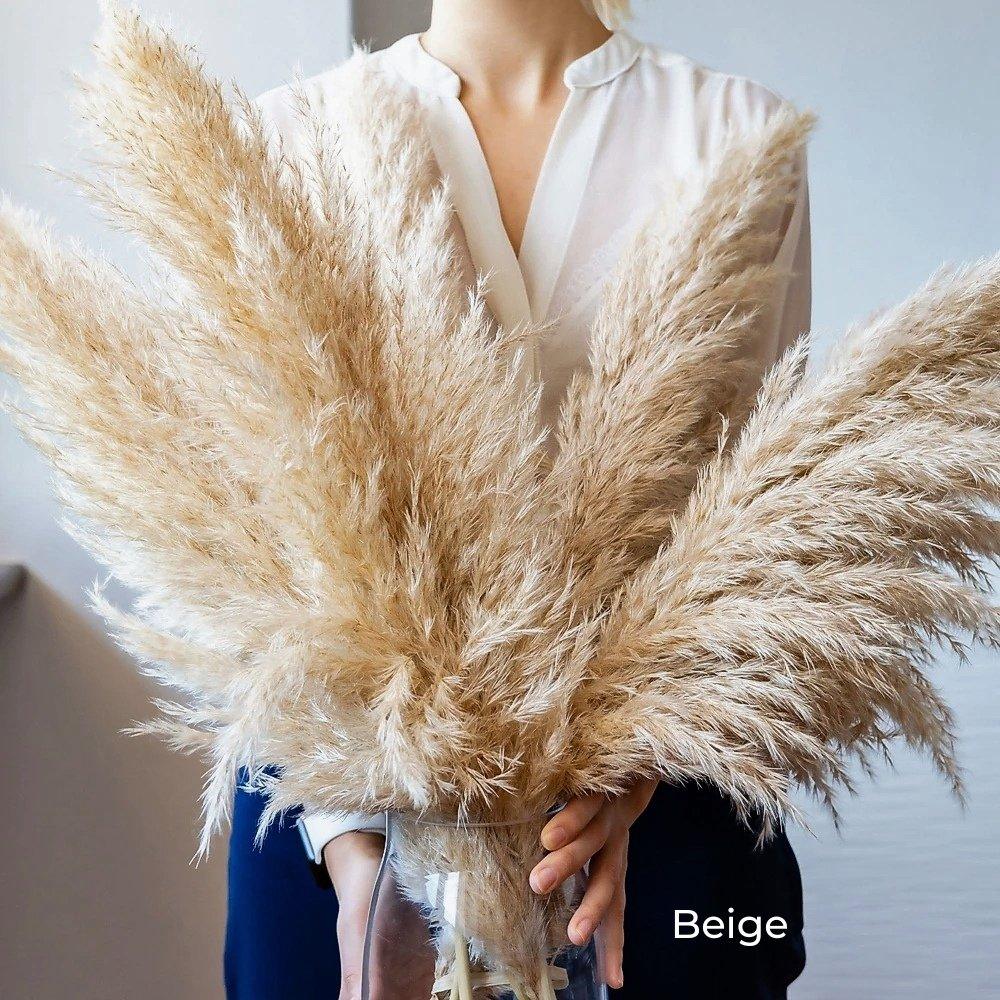 BohoFluff | Natuurlijk gedroogd pampagras boeket - Pluizig riet voor moderne Boho vaas & Woondecoratie