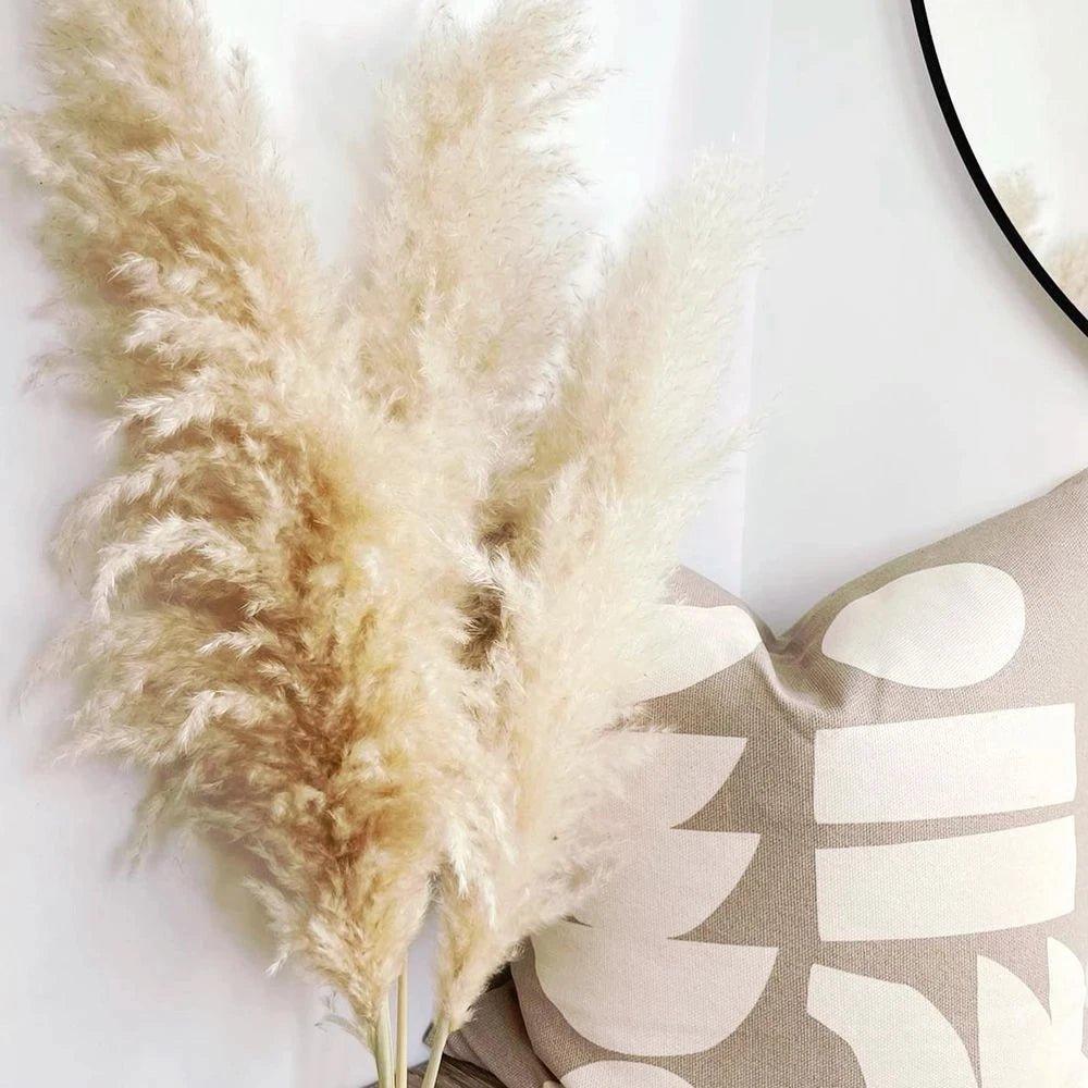 BohoFluff | Natuurlijk gedroogd pampagras boeket - Pluizig riet voor moderne Boho vaas & Woondecoratie
